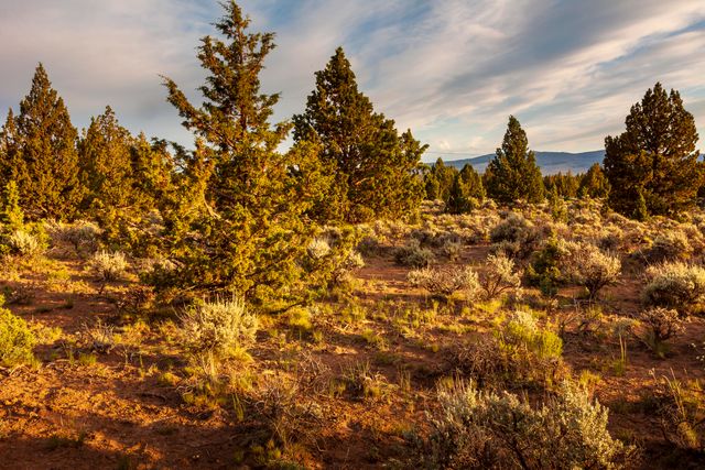0 RD 25 aka Golden View Ranch Road Lot 30, Bend, OR 97701