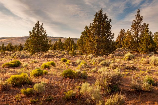 0 RD 25 aka Golden View Ranch Road Lot 30, Bend, OR 97701