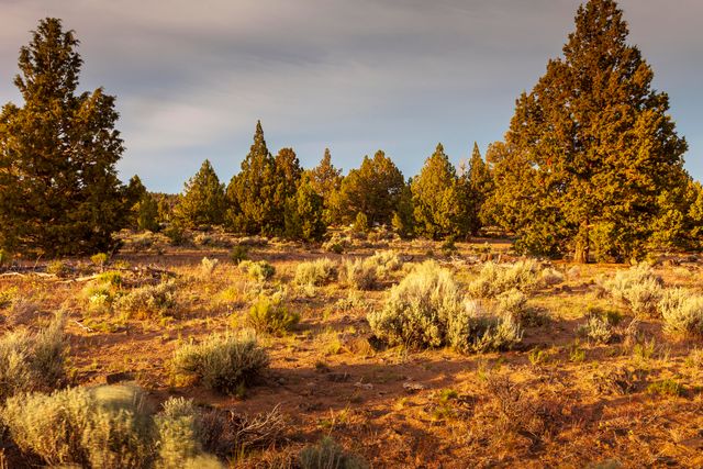 0 RD 25 aka Golden View Ranch Road Lot 30, Bend, OR 97701