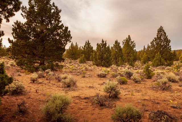 0 RD 25 aka Golden View Ranch Road Lot 30, Bend, OR 97701
