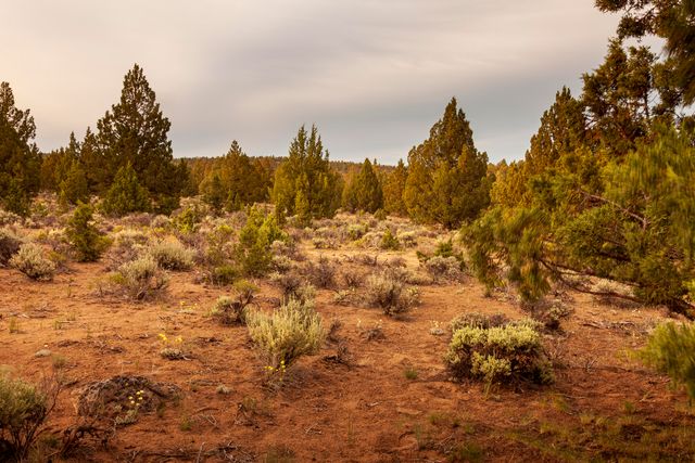 0 RD 25 aka Golden View Ranch Road Lot 30, Bend, OR 97701