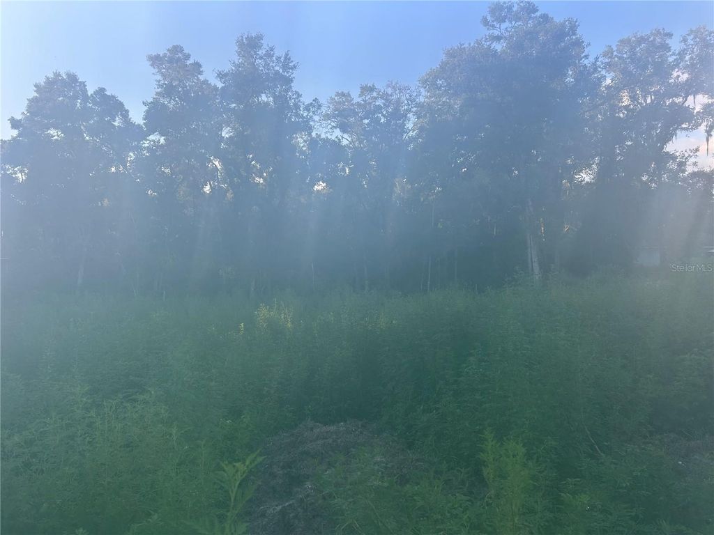 3528 W NIEMAN DRIVE, Dunnellon, FL 34433