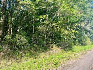 TBD 53 Tw Dickens, Livingston, TX 77351