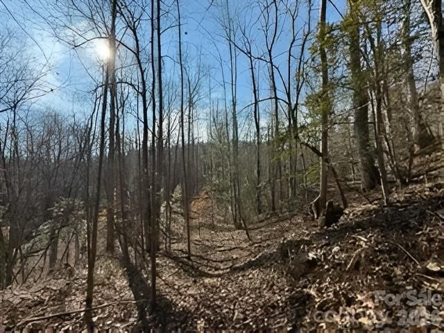 3825 Wood Glen Drive 5, Morganton, NC 28655