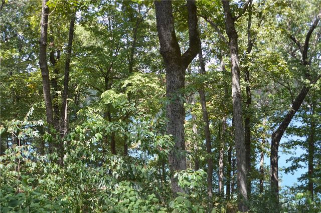 9265 and 9267 Cobble Lane, Rogers, AR 72756