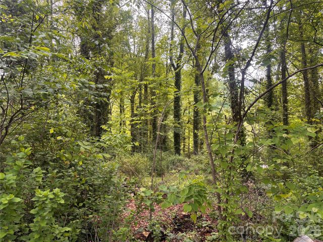 45 Briggs Road, Asheville, NC 28805