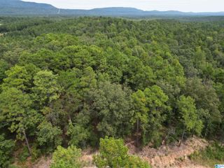 214 HONEY ACRES, Sterrett, AL 35147