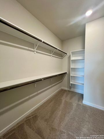 14426 Daphne Bend, San Antonio, TX 78253