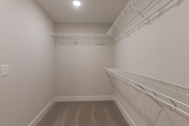 224 Tyler Cornerstone Trail, Smyrna, TN 37167