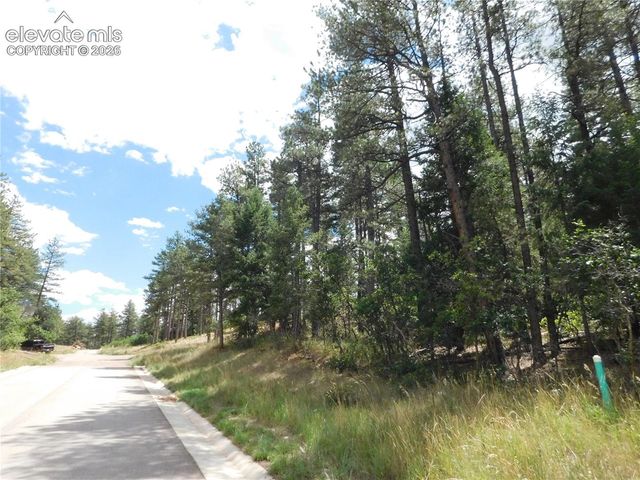 8139 Bannock Drive, Larkspur, CO 80118