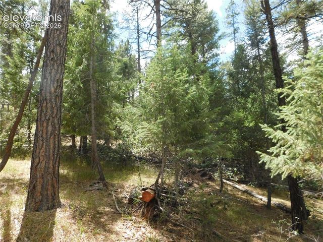 8139 Bannock Drive, Larkspur, CO 80118