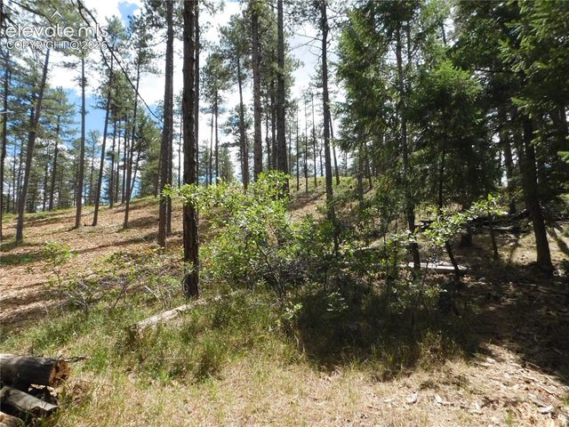 8139 Bannock Drive, Larkspur, CO 80118