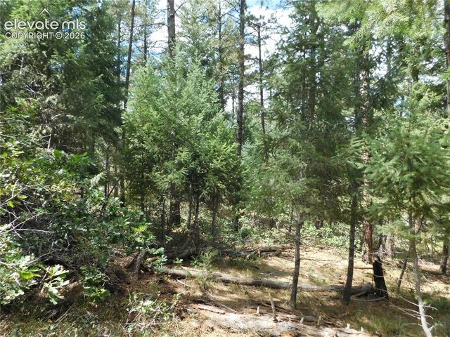 8139 Bannock Drive, Larkspur, CO 80118