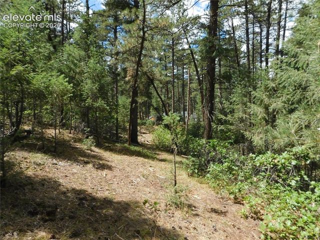 8139 Bannock Drive, Larkspur, CO 80118