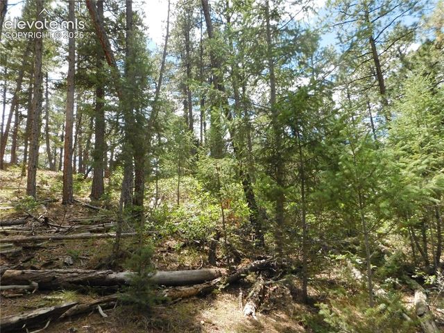8139 Bannock Drive, Larkspur, CO 80118
