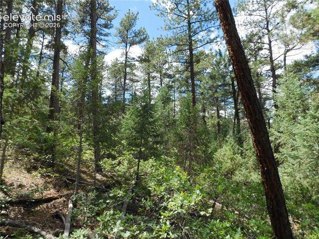 8139 Bannock Drive, Larkspur, CO 80118