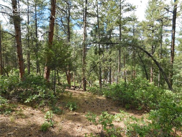 8139 Bannock Drive, Larkspur, CO 80118