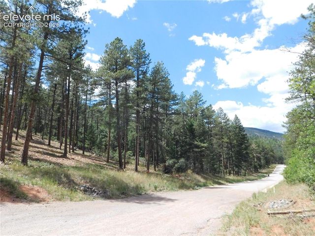 8139 Bannock Drive, Larkspur, CO 80118