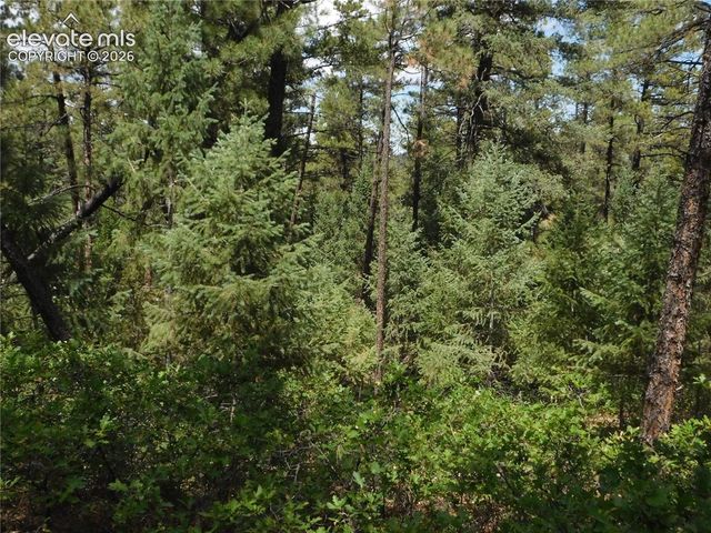 8139 Bannock Drive, Larkspur, CO 80118