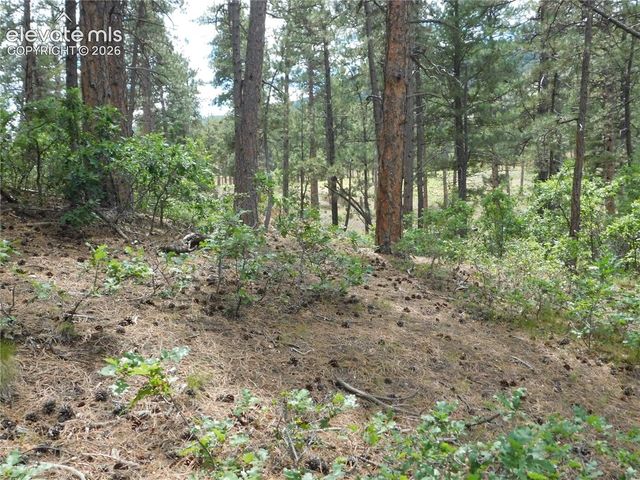 8139 Bannock Drive, Larkspur, CO 80118