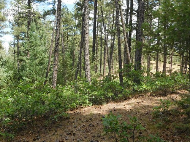 8139 Bannock Drive, Larkspur, CO 80118