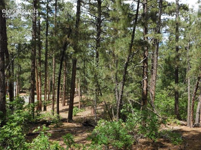 8139 Bannock Drive, Larkspur, CO 80118