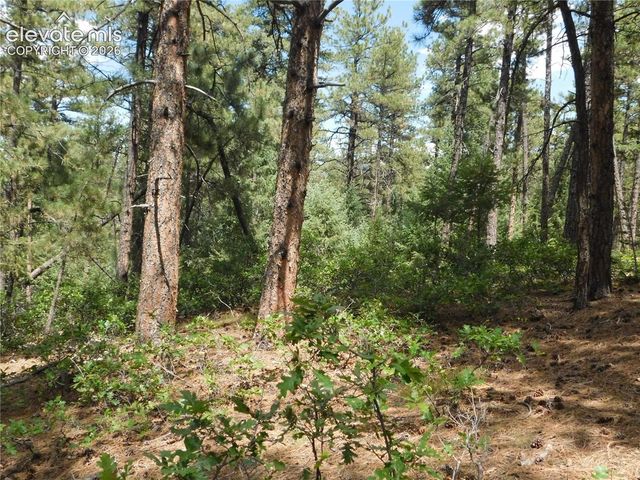8139 Bannock Drive, Larkspur, CO 80118