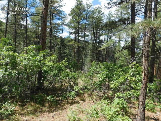 8139 Bannock Drive, Larkspur, CO 80118