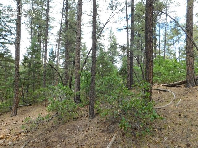 8139 Bannock Drive, Larkspur, CO 80118