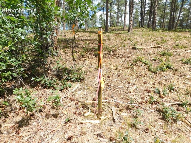 8139 Bannock Drive, Larkspur, CO 80118