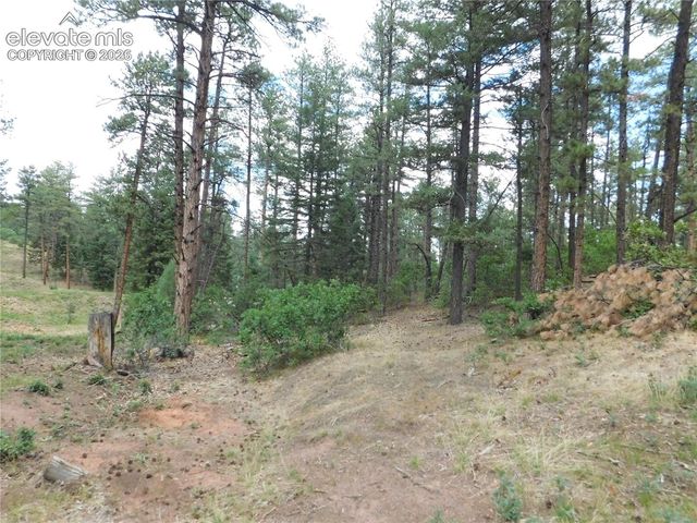 8139 Bannock Drive, Larkspur, CO 80118