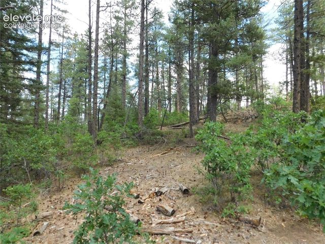 8139 Bannock Drive, Larkspur, CO 80118