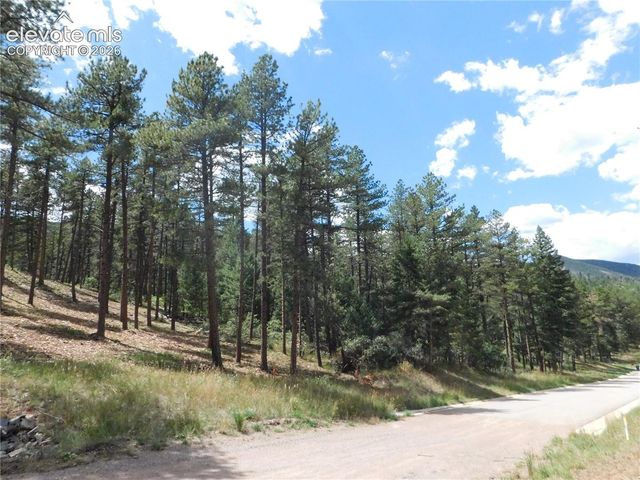 8139 Bannock Drive, Larkspur, CO 80118