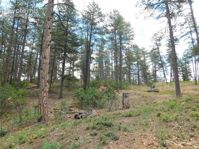 8139 Bannock Drive, Larkspur, CO 80118