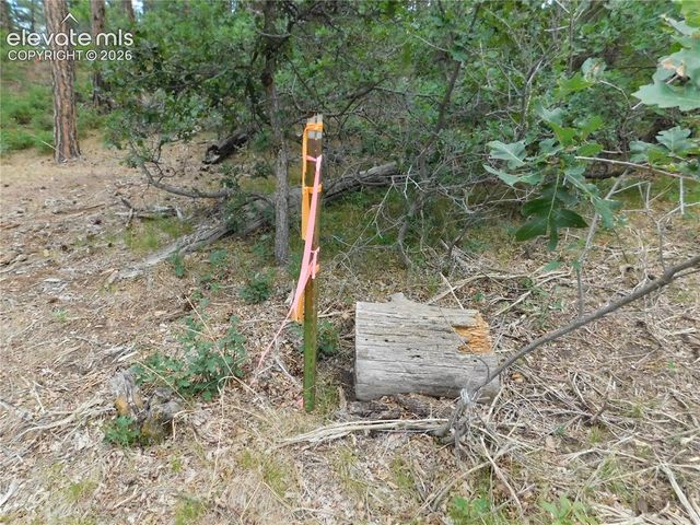 8139 Bannock Drive, Larkspur, CO 80118
