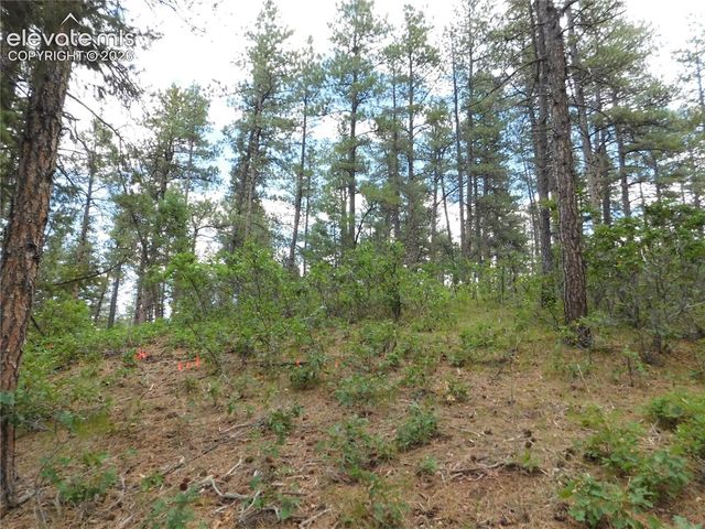 8139 Bannock Drive, Larkspur, CO 80118