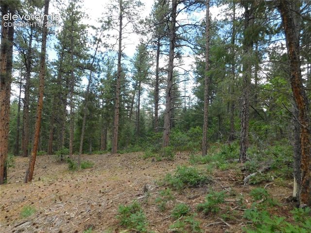 8139 Bannock Drive, Larkspur, CO 80118