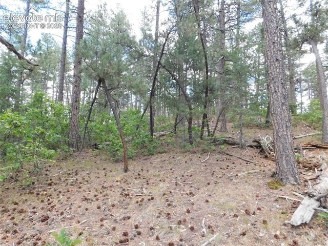 8139 Bannock Drive, Larkspur, CO 80118