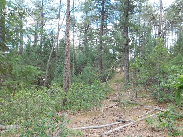 8139 Bannock Drive, Larkspur, CO 80118