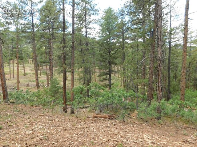 8139 Bannock Drive, Larkspur, CO 80118