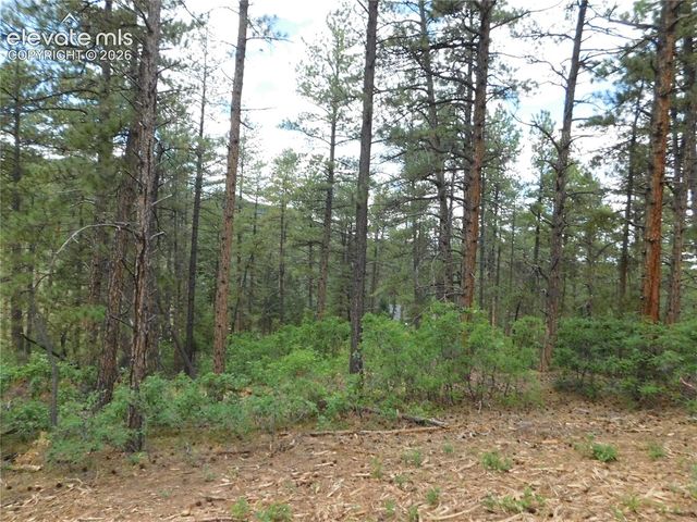 8139 Bannock Drive, Larkspur, CO 80118