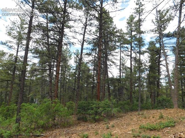 8139 Bannock Drive, Larkspur, CO 80118
