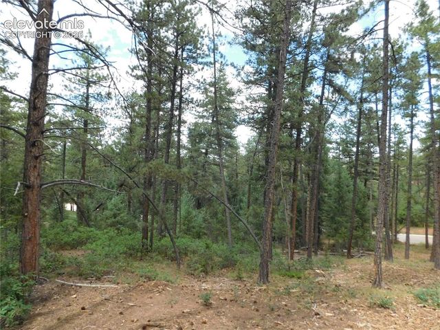 8139 Bannock Drive, Larkspur, CO 80118