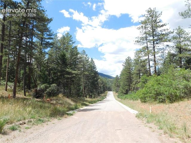 8139 Bannock Drive, Larkspur, CO 80118
