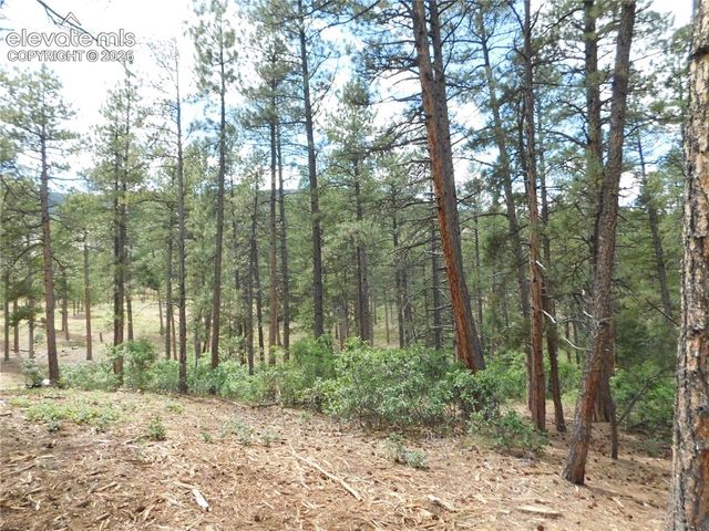 8139 Bannock Drive, Larkspur, CO 80118