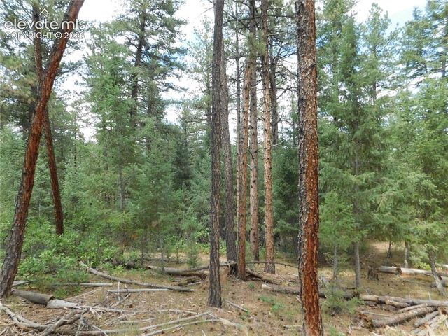 8139 Bannock Drive, Larkspur, CO 80118