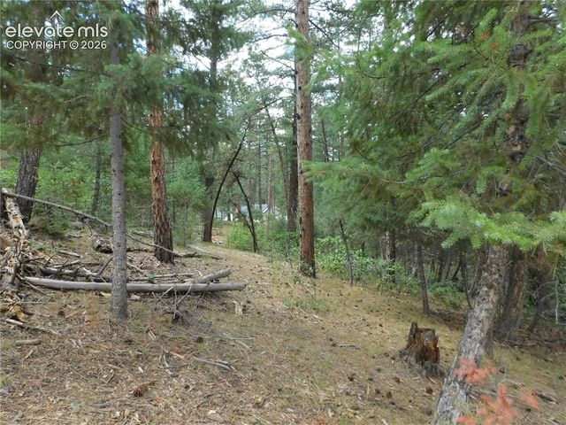 8139 Bannock Drive, Larkspur, CO 80118