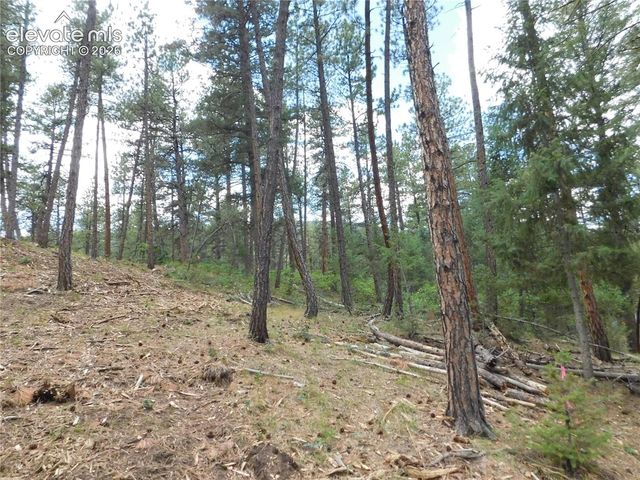 8139 Bannock Drive, Larkspur, CO 80118