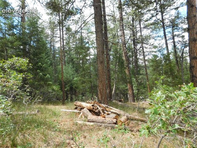 8139 Bannock Drive, Larkspur, CO 80118