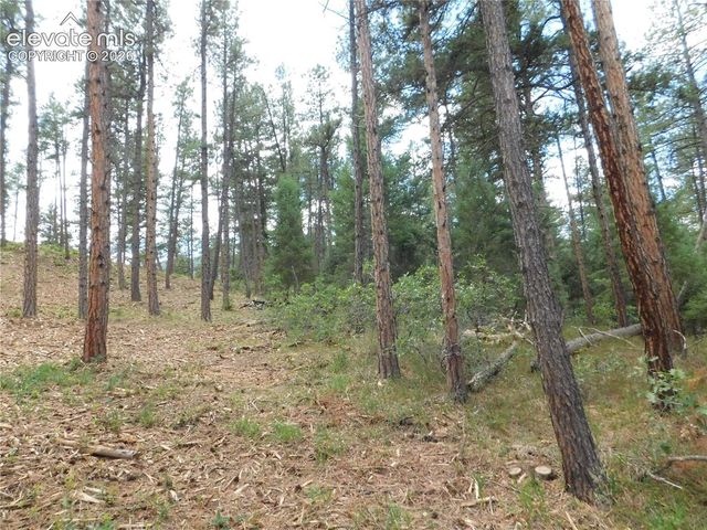8139 Bannock Drive, Larkspur, CO 80118